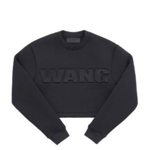 Alexander Wang x H&M cropped sweater